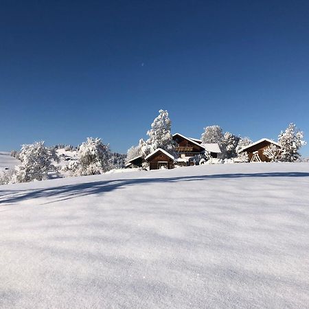 Ferienwohnung Aigisblick Mit Pool Und Sauna, Direkt Am Skihang Missen-Wilhams Exterior foto